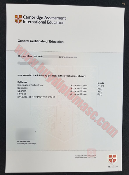 GCE Fake Certificate