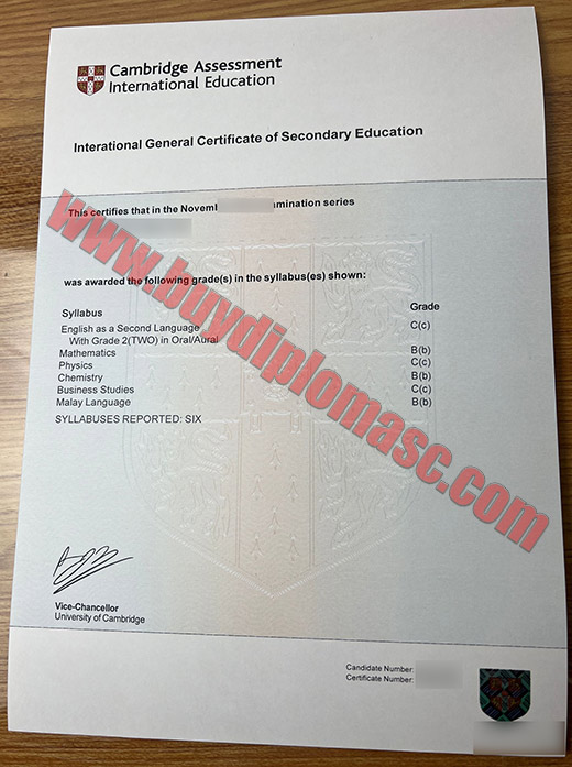 Fake IGCSE Certificates