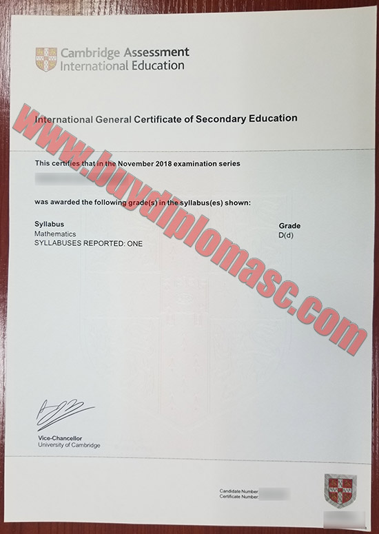 Fake IGCSE Certificates