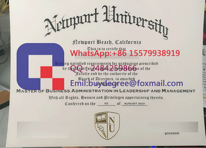 Newport University degrees
