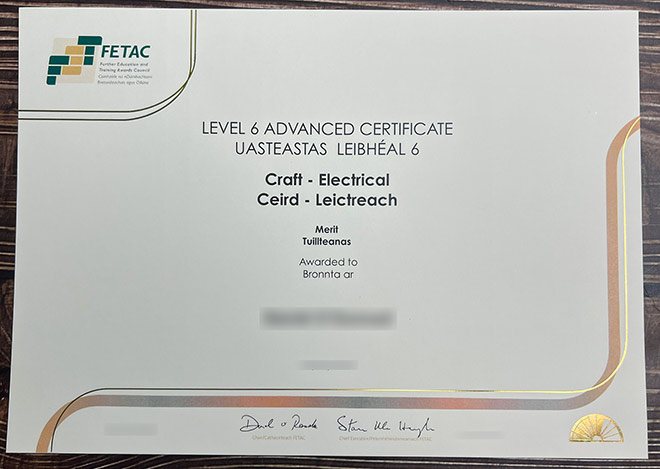 FETAC Level 6 certificate