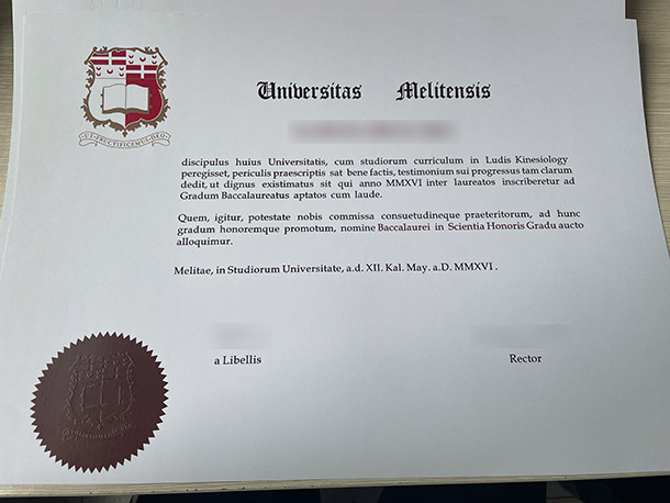 University of Malta diploma Samples