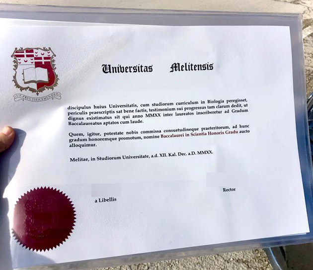 University of Malta diploma Samples