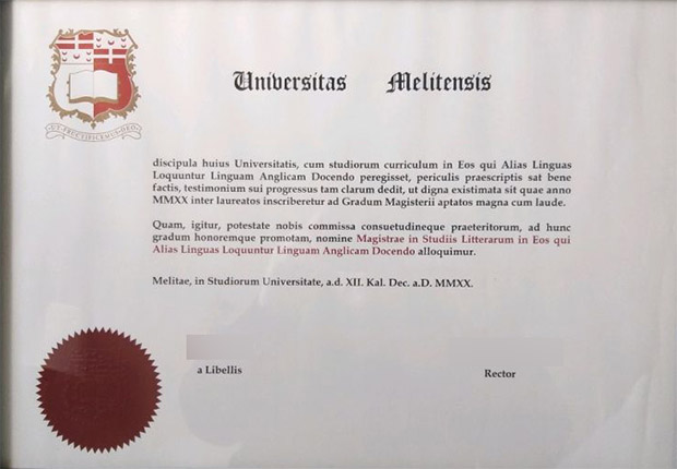 University of Malta degree Sample