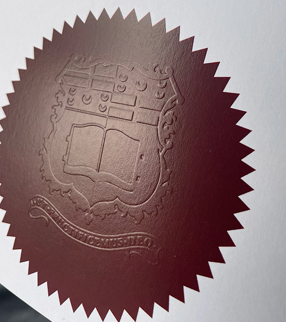 University of Malta degree Sample