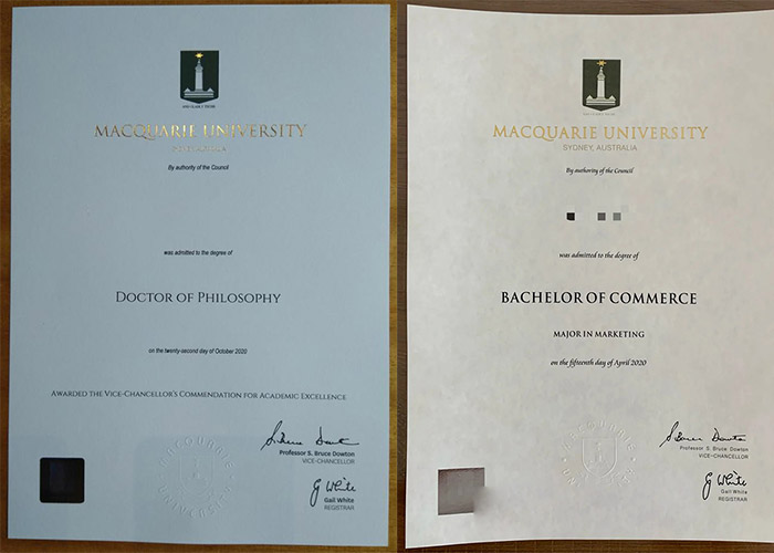 Macquarie University Degree Sample Case