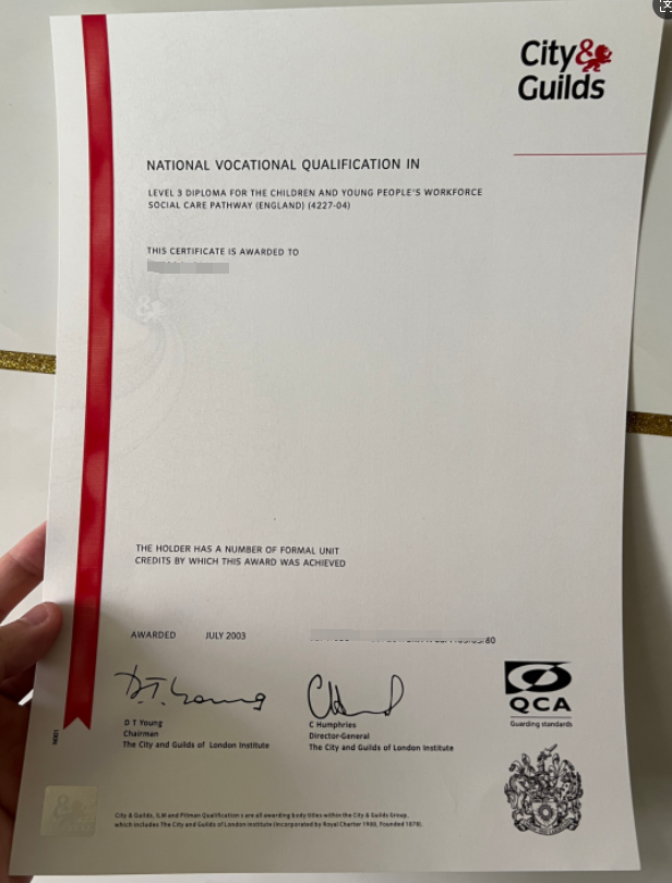 2003 City and Guilds Certificate Sample