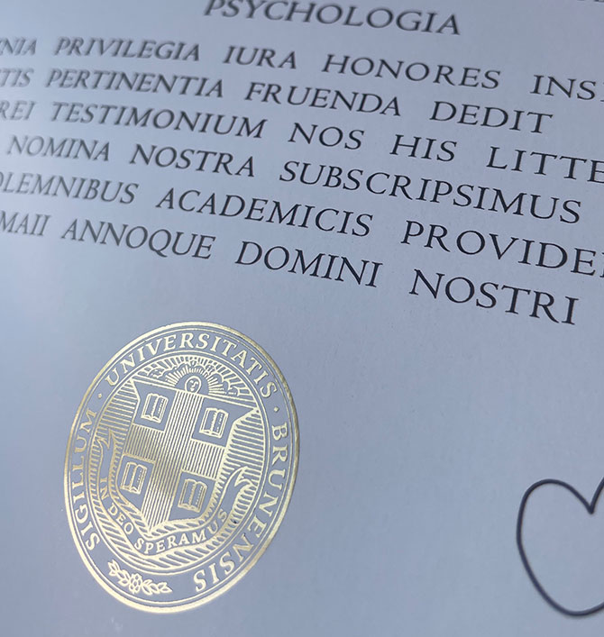 Samples of Brown University degree