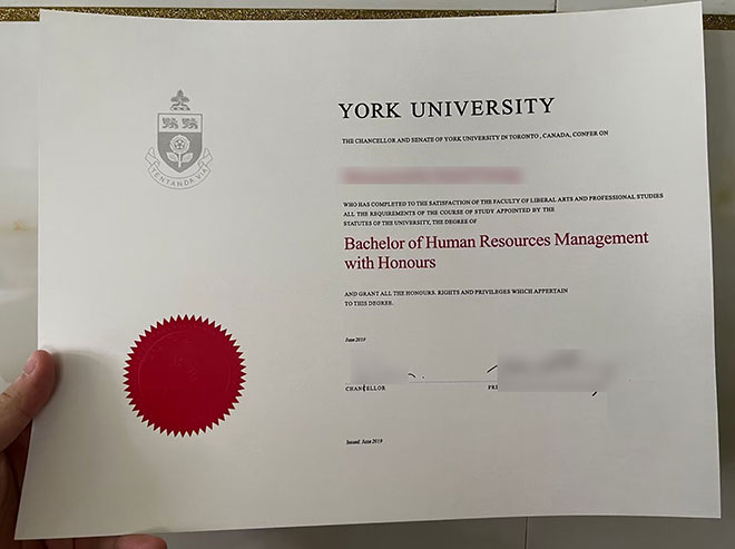 2019 edition sample of York University degree