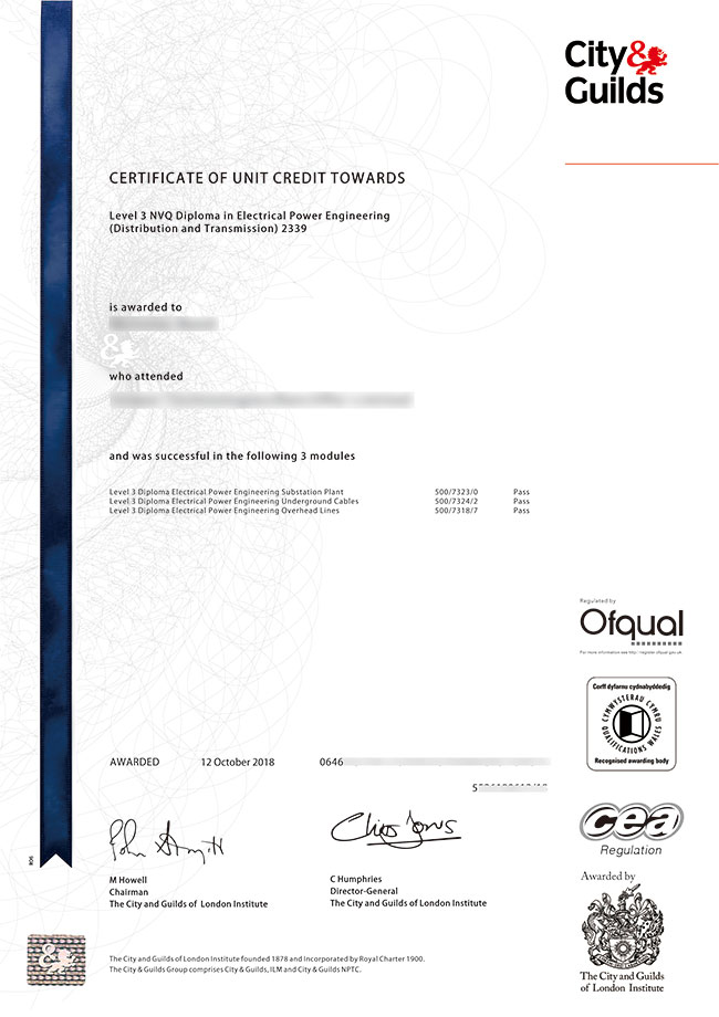 City and Guilds certificate sample